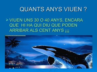 QUANTS ANYS VIUEN ? VIUEN UNS 30 O 40 ANYS, ENCARA QUE  HI HA QUI DIU QUE PODEN ARRIBAR ALS CENT ANYS ¡¡¡ 
