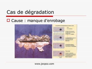 Cas de dégradation Cause : manque d’enrobage www.jexpoz.com 