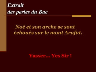 Extrait
des perles du Bac

  -Noé et son arche se sont
  échoués sur le mont Arafat.



         Yasser... Yes Sir !
 