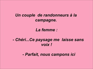 Un couple  de randonneurs à la  campagne.  La femme :      - Chéri...Ce paysage me  laisse sans  voix !      - Parfait, nous campons ici 