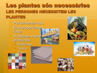 Les plantes són necessàries LES PERSONES NECESSITEM LES PLANTES Per alimentar-nos. Ens proporcionen fusta. S’obtenen molts productes: Medicines Teixits Paper Suro 