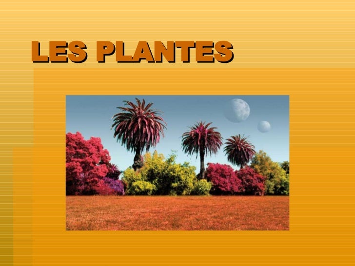 LES PLANTES