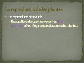La reproducció sexual: És aquella en la que intervenen les  flors . Les flors  són el òrgans reproductors de les plantes. 