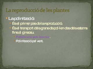 La polinització: És el primer pas de la reproducció. És el transport dels grans de pol·len des dels estams fins al gineceu. Polinització pels insectes . Polinització pel vent. 