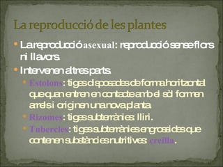 La reproducció  asexual : reproducció sense flors ni llavors. Intervenen altres parts. Estolons : tiges disposades de forma horitzontal que quan entren en contacte amb el sòl formen arrels i originen una nova planta. Rizomes : tiges subterrànies: lliri. Tubercles : tiges subterrànies engrossides que contenen substàncies nutritives:  creïlla . 