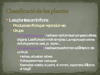 Les plantes amb flors: Produeixen flors per reproduir-se. Grups: Les gimnospermes : la llavor es forma en pinyes o altres òrgans. Les flors són molt simples.  La majoria són arbres de fulla perenne: avet, pi, xiprer... Les angiospermes : les llavors es formen a l’interior de un fruit. Herbes, arbustos i arbres. Fulles perennnes i caduques Exemples: rosella, el jacint, el romaní, la pomera, l’alzina, el faig,… 