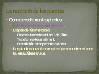 Com es nodreixen les plantes: Fabriquen el seu propi aliment . Etapes de l’alimentació: Pendre substàncies del sòl i de l’aire. Transformar-les en aliment. Repartir l’aliment per tota la planta. Les plantes necessiten respirar permanentment com la resta d’éssers vius. 
