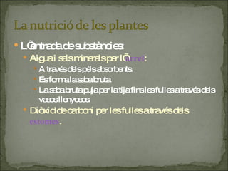 L’entrada de substàncies: Aigua i sals minerals per l’ arrel : A través dels pèls absorbents. Es forma la saba bruta. La saba bruta puja per la tija fins les fulles a través dels vasos llenyosos. Diòxid de carboni per les fulles a través dels  estomes . 