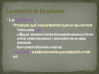 La  fotosíntesi : Procés pel qual les plantes fabriquen el seu aliment: Te lloc a les  fulles . L’aigua i les sals minerals de la saba bruta es combinen amb el diòxid de carboni i es transformen en saba elaborada. Es imprescindible la llum del sol. Clorofil·la : substància verda que capta la llum del sol. 