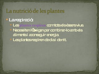 La respiració: Les  plantes respiren  com tots els éssers vius. Necessiten l’oxigen per combinar-lo amb els aliments i aconseguir energia. Les plantes respiren de dia i de nit. 