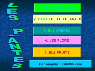 1. SÓN ESSERS VIUS
2. PARTS DE LES PLANTES
3. ELS ARBRES
4. LES FLORS
5. ELS FRUITS
Per ampliar : Edu365.comPer ampliar : Edu365.com
 