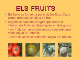 ELS FRUITSELS FRUITS
 Els fruits es formen a partir de les flors. Cada
planta produeix un tipus de fruit.
 Segons la quantitat d’aigua que tenen a l’
interior, els fruits es classifiquen en dos grups:
- els fruits carnosos són sucosos perquè tenen
molta aigua a l’ interior.
- els fruits secs no acumulen aigua a l’ interior.
 