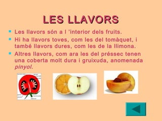 LES LLAVORSLES LLAVORS
 Les llavors són a l ’interior dels fruits.
 Hi ha llavors toves, com les del tomàquet, i
també llavors dures, com les de la llimona.
 Altres llavors, com ara les del préssec tenen
una coberta molt dura i gruixuda, anomenada
pinyol.
 
