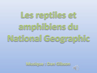 Les reptiles-amphibiens-du-national-geographic