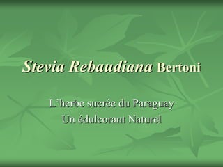 Stevia Rebaudiana Bertoni

   L’herbe sucrée du Paraguay
     Un édulcorant Naturel