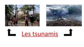 Les tsunamis
 