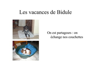 Les vacances de Bidule On est partageurs : on échange nos couchettes 