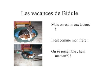 Les vacances de Bidule Mais on est mieux à deux ! Il est comme mon frère ! On se ressemble , hein maman??? 