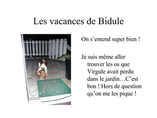 Les vacances de Bidule On s’entend super bien ! Je suis même aller trouver les os que Virgule avait perdu dans le jardin…C’est bon ! Hors de question qu’on me les pique ! 