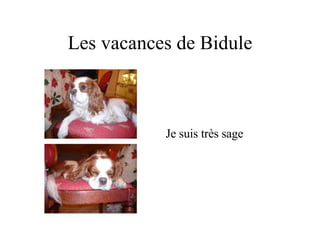 Les vacances de Bidule Je suis très sage 