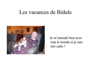 Les vacances de Bidule Je m’entends bien avec tout le monde et je suis très calin ! 