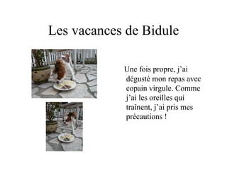 Les vacances de Bidule Une fois propre, j’ai dégusté mon repas avec copain virgule. Comme j’ai les oreilles qui traînent, j’ai pris mes précautions ! 