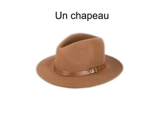 Un chapeau
 