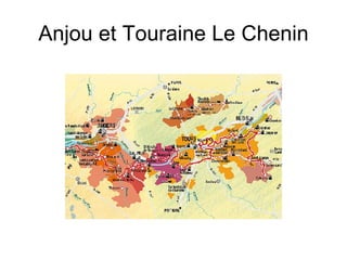 Anjou et Touraine Le Chenin 