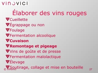 Élaborer des vins rouges Cueillette Égrappage ou non Foulage Fermentation alcoolique Cuvaison Remontage et pigeage Vins de goûte et de presse Fermentation malolactique Élevage Soutirage, collage et mise en bouteille 