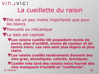 La cueillette du raisin Elle est un peu moins importante que pour les blancs Manuelle ou mécanique La date est capitale Les raisins cueillis tôt possèdent moins de sucre, plus d'acidité, moins de couleur et de tanins mûrs. Les vins sont plus légers et plus clairs. Les raisins cueillis tardivement donnent des vins gras, alcooliques, colorés, tanniques. Cueillir très tard des raisins mûrs fournit des vins manquant d'acidité et "confiturés". 
