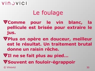 Le foulage Comme pour le vin blanc, la pellicule est brisée pour extraire le jus. Plus on opère en douceur, meilleur est le résultat. Un traitement brutal donne un raisin rêche. Il ne se fait plus au pied… Souvent en fouloir-égrappoir 