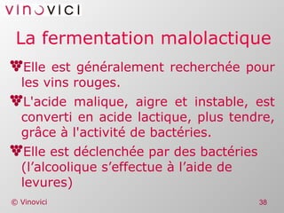 La fermentation malolactique Elle est généralement recherchée pour les vins rouges. L'acide malique, aigre et instable, est converti en acide lactique, plus tendre, grâce à l'activité de bactéries. Elle est déclenchée par des bactéries (l’alcoolique s’effectue à l’aide de levures) 