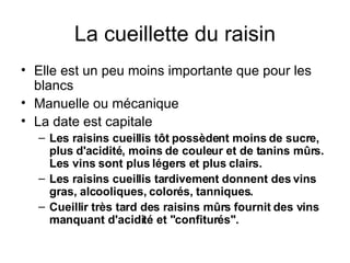 La cueillette du raisin Elle est un peu moins importante que pour les blancs Manuelle ou mécanique La date est capitale Les raisins cueillis tôt possèdent moins de sucre, plus d'acidité, moins de couleur et de tanins mûrs. Les vins sont plus légers et plus clairs. Les raisins cueillis tardivement donnent des vins gras, alcooliques, colorés, tanniques. Cueillir très tard des raisins mûrs fournit des vins manquant d'acidité et "confiturés". 