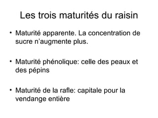 Les trois maturités du raisin Maturité apparente. La concentration de sucre n’augmente plus. Maturité phénolique: celle des peaux et des pépins Maturité de la rafle: capitale pour la vendange entière 
