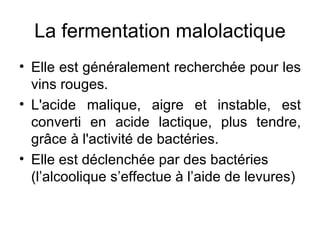 La fermentation malolactique Elle est généralement recherchée pour les vins rouges. L'acide malique, aigre et instable, est converti en acide lactique, plus tendre, grâce à l'activité de bactéries. Elle est déclenchée par des bactéries (l’alcoolique s’effectue à l’aide de levures) 