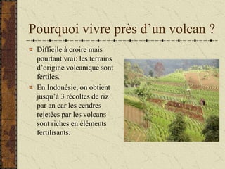Pourquoi vivre près d’un volcan ?
Difficile à croire mais
pourtant vrai: les terrains
d’origine volcanique sont
fertiles.
En Indonésie, on obtient
jusqu’à 3 récoltes de riz
par an car les cendres
rejetées par les volcans
sont riches en éléments
fertilisants.
 