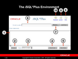1-28 Copyright © Oracle Corporation, 2001. All rights reserved.
The iSQL*Plus Environment
3 4 5
6
71
2
8 910
 