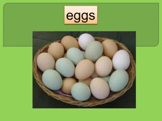 eggs
 