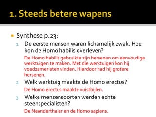    Synthese p.23:
    1. De eerste mensen waren lichamelijk zwak. Hoe
       kon de Homo habilis overleven?
       De Homo habilis gebruikte zijn hersenen om eenvoudige
       werktuigen te maken. Met die werktuigen kon hij
       voedzamer eten vinden. Hierdoor had hij grotere
       hersenen.
    2. Welk werktuig maakte de Homo erectus?
       De Homo erectus maakte vuistbijlen.
    3. Welke mensensoorten werden echte
       steenspecialisten?
       De Neanderthaler en de Homo sapiens.
 