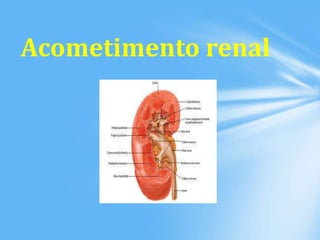Acometimento renal
 
