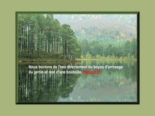 Nous buvions de l'eau directement du boyau d'arrosage du jardin et non d'une bouteille.  Horreur !!!   