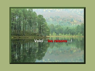 Voici … les raisons …! 
