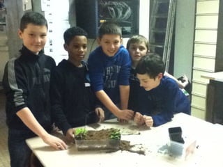 Les 6ème2 tourbière