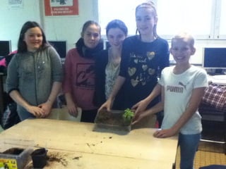 Les 6ème2 tourbière