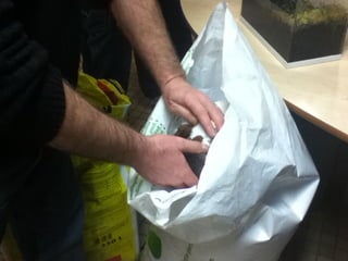 Les 6ème2 tourbière