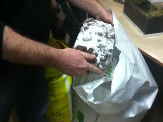 Les 6ème2 tourbière