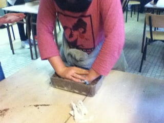 Les 6ème2 tourbière