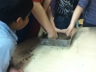 Les 6ème2 tourbière