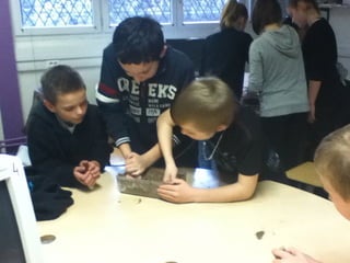 Les 6ème2 tourbière