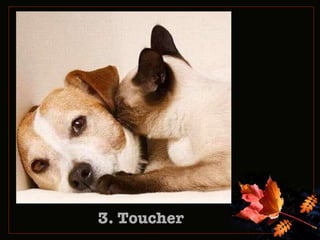 3. Toucher 